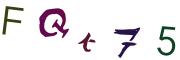 图形验证