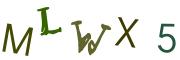 图形验证