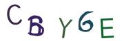 Bild-CAPTCHA