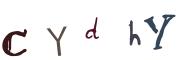 圖片的 CAPTCHA
