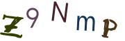 圖片的 CAPTCHA