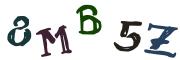 圖片的 CAPTCHA