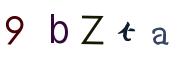 圖片的 CAPTCHA