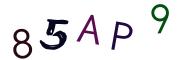 圖片的 CAPTCHA