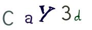 圖片的 CAPTCHA