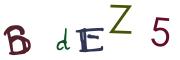 圖片的 CAPTCHA