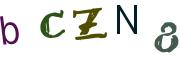 圖片的 CAPTCHA