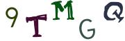 圖片的 CAPTCHA
