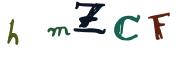 圖片的 CAPTCHA