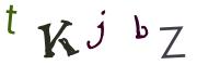 圖片的 CAPTCHA