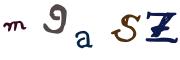 圖片的 CAPTCHA