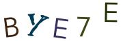 圖片的 CAPTCHA