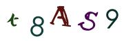 圖片的 CAPTCHA