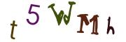 圖片的 CAPTCHA