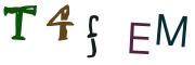 圖片的 CAPTCHA