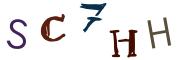 圖片的 CAPTCHA