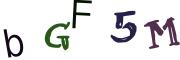 圖片的 CAPTCHA