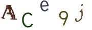 圖片的 CAPTCHA