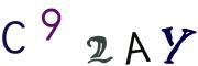圖片的 CAPTCHA