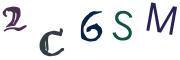 圖片的 CAPTCHA