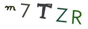 圖片的 CAPTCHA