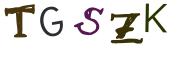 圖片的 CAPTCHA
