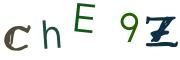 圖片的 CAPTCHA