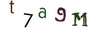 圖片的 CAPTCHA