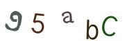 圖片的 CAPTCHA