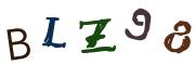 圖片的 CAPTCHA