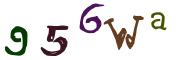 圖片的 CAPTCHA