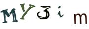 圖片的 CAPTCHA