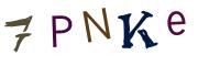 圖片的 CAPTCHA