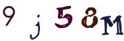 圖片的 CAPTCHA