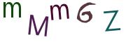 圖片的 CAPTCHA
