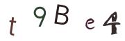 圖片的 CAPTCHA