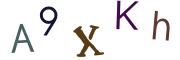 圖片的 CAPTCHA