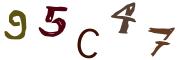 圖片的 CAPTCHA