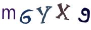 圖片的 CAPTCHA
