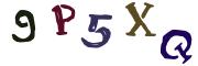 圖片的 CAPTCHA