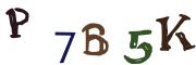 圖片的 CAPTCHA