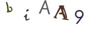圖片的 CAPTCHA