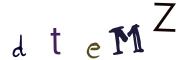 圖片的 CAPTCHA