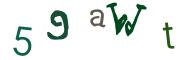 圖片的 CAPTCHA