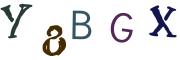 圖片的 CAPTCHA
