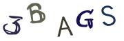 圖片的 CAPTCHA