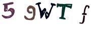 圖片的 CAPTCHA