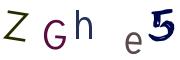 圖片的 CAPTCHA