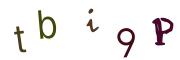圖片的 CAPTCHA