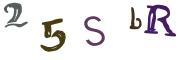 圖片的 CAPTCHA